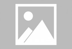 趣玩皮肤爆料最新进展下载,最新进展揭秘，精彩内容抢先看！