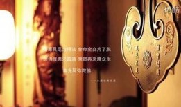 kang总最新爆料,最新爆料背后的惊人真相